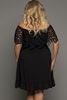 Picture of CURVY GIRL LACE SLEEVES DRESS